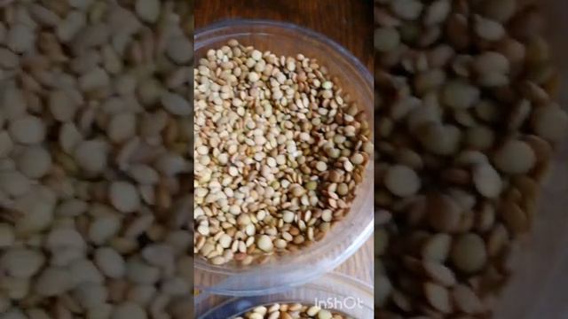 ПЕРВЫЙ ОПЫТ ПРОРАЩИВАНИЯ ЧЕЧЕВИЦЫ? ДАЛЬШЕ ЖДАТЬ ИЛИ УЖЕ МОЖНО НА УЖИН СДЕЛАТЬ САЛАТ? ПОДСКАЖИТЕ смотреть онлайн