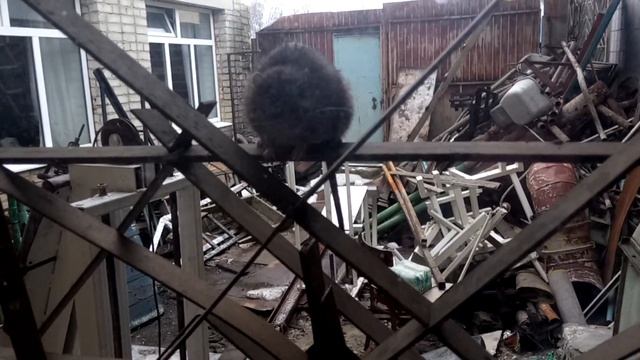 7-я видео. Релин. 2017. Дятьково. Гостья в спортзале. смотреть онлайн