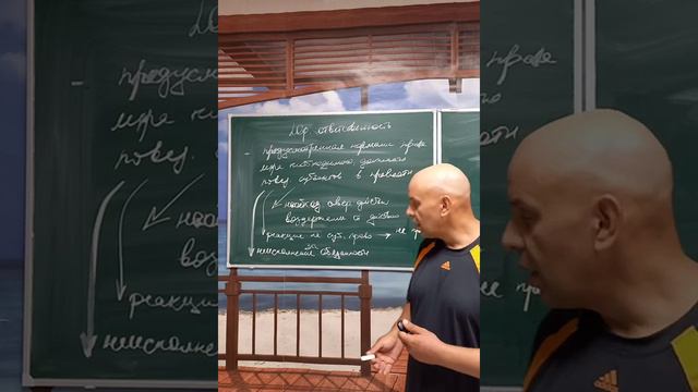 Определения для ОГЭ и ЕГЭ. Юридическая ответственность смотреть онлайн