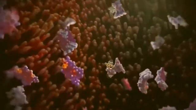 Восстановление на растительном питании. смотреть онлайн