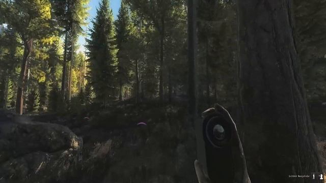 TheHunter Missão On the Prowl 05 - 10 смотреть онлайн