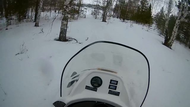 Рыбалка  берша на тюльку + подводные сьемки берша.