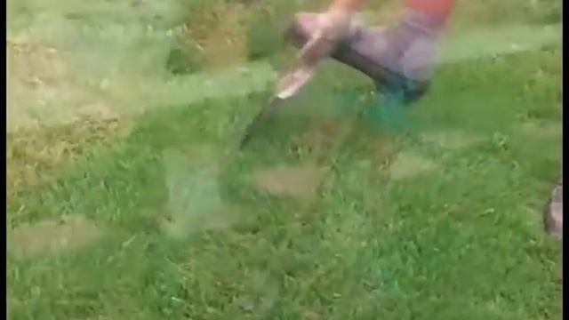 Ремонт газона смотреть онлайн