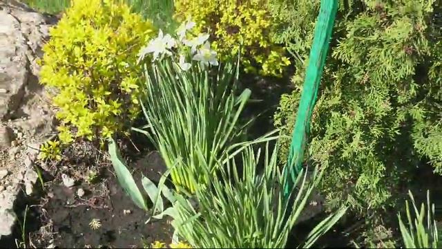 Благоустройство территории смотреть онлайн