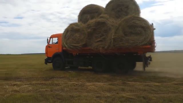Трактор Беларус 82 на погрузке сена смотреть онлайн