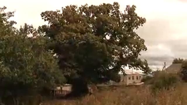Флора и Фауна смотреть онлайн