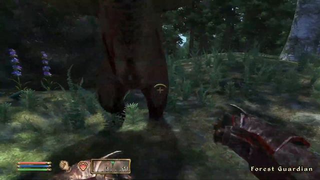 The Elder Scrolls IV: Oblivion Knights of the Nine | Part 4 | Nature's Fury смотреть онлайн
