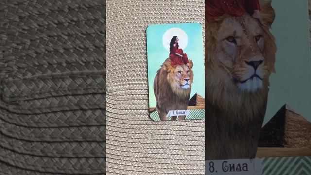 КАРТА ДНЯ?СОВЕТ ТАРО? смотреть онлайн