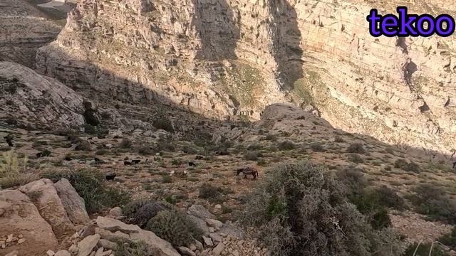 Collecting firewood and taking sheep to the pasture#originality #doora # смотреть онлайн