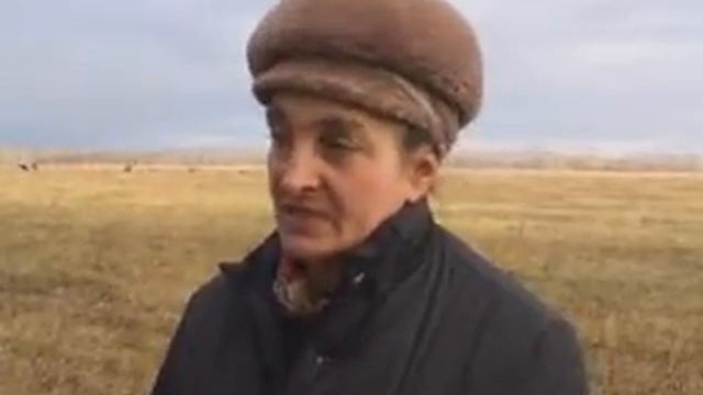 В Краснокамском районе сельское хозяйство смотреть онлайн