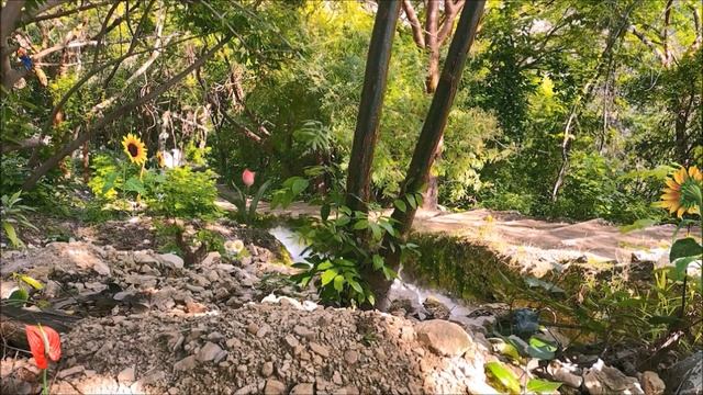 Нежная, романтическая музыка для души Андрея Обидина /Gentle, romantic music for the soul A. Obidin смотреть онлайн