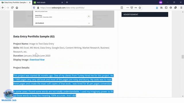 Data Entry Portfolio Samples for Upwork & Freelancer | Webson Job смотреть онлайн