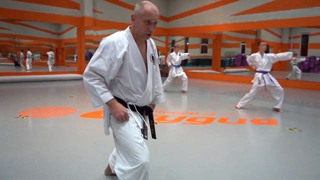 Уширо гери в каратэ-до Шотокан смотреть онлайн