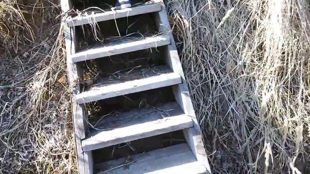 ВЛОГ НАДУВАЕМ ШАР ОТ МАШИНЫ, ГОТОВИМ ШАШЛЫК В ЛЕСУ смотреть онлайн