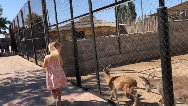 В зоопарке Баба Фрося смотреть онлайн