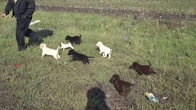 Актировка 15 09 смотреть онлайн