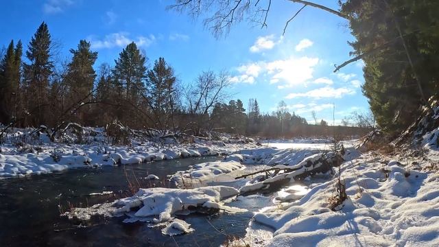 ЗЕМЛЯНКА В ЛЕСУ - ПРИШЕЛ С НОЧЕВКОЙ и ОСТАЛСЯ! КРУГОМ ЗВЕРИ | ВЕРНУЛСЯ в ДОМ ПОД ЗЕМЛЕЙ | Лесные