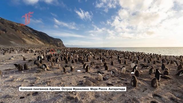 Антарктида встреча с неизвестным! Что происходит в Антарктиде? смотреть онлайн