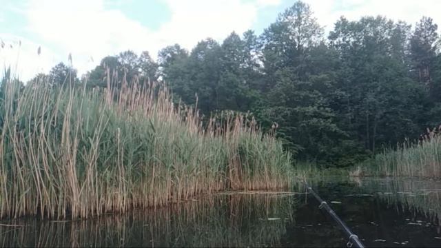 Рыболовные Приключения. Тест Секретной Аромы. Рыбалка Онлайн смотреть онлайн