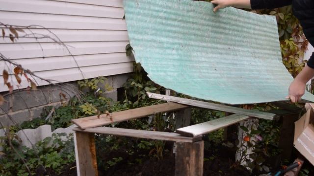 Как укрыть розы на зиму: самый верный способ смотреть онлайн