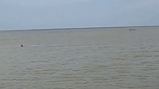 Прогулка по реке Кубань до Азовского моря смотреть онлайн