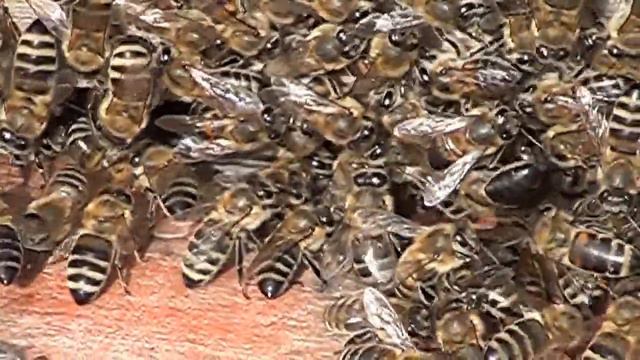 Зарисовки..... смотреть онлайн