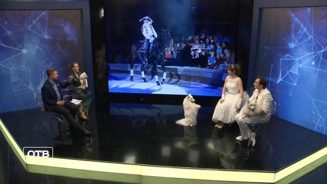 Гигантские тигры в екатеринбургском цирке смотреть онлайн