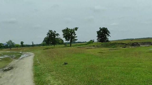 Dokania reserve picnic spot visit ?️ ll Dost ko milne kaha gaya dekho ?ll смотреть онлайн