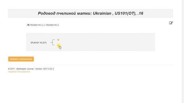 Добавление родословной условной матки Украинской Степной - Электронный Журнал Пчеловода смотреть онлайн