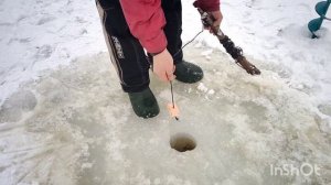 Зимняя рыбалка, ставим косынки на живца.