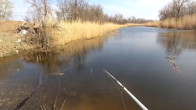 #9 Весенняя рыбалка на поплавок на небольшом водоеме. Были пойманы разные виды рыб смотреть онлайн