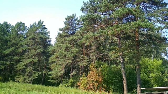 №207 Я в деревне.Последние новости. смотреть онлайн
