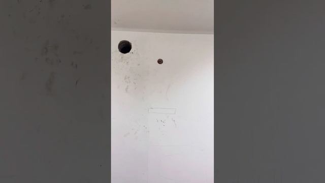 Вентиляция в зоогостинице смотреть онлайн