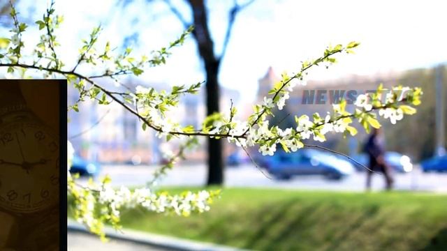 【NEWS TT7010月22日】#杨紫，露出白皙的肌肤，优雅性感的气质。#肖战 出现在丝芭新剧拟邀名单上 #yangzi #xiaozhan смотреть онлайн