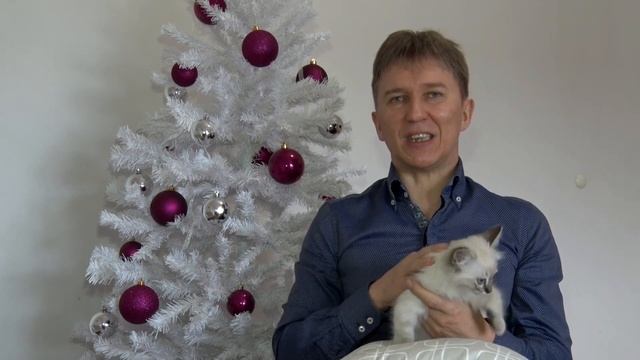 Фен-шуй Рождество 2023! Поздравление от мастера китайской метафизики Ермакова Алексея. Ба-цзы, Таро смотреть онлайн