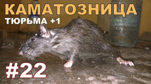 #22. Охота на КРЫС с комплексом "HWRAT-HUNTER"