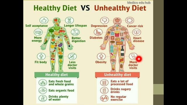 Balance Diet & Six essential nutrients ~Biochemistry for medical students~ смотреть онлайн
