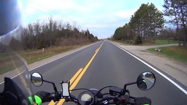 Honda Rebel 500 Through Hockley Valley on October 31, 2020 смотреть онлайн
