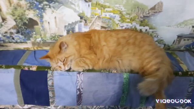 Кулинарная Революция