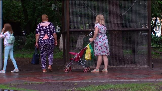 Белки переехали из сквера Немцова в зоопарк на Ялуторовском тракте смотреть онлайн