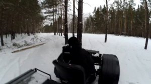 По зимнему лесу на каракате ЗИС-5