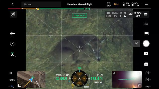 Providing Closure to Hunter on Arrowed Buck - DJI M30T Thermal Drone Deer Recovery смотреть онлайн