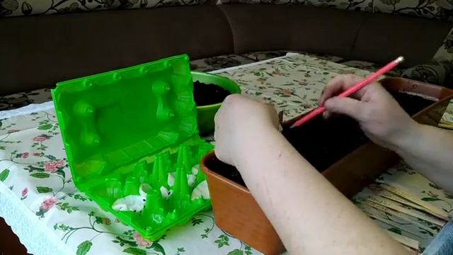 Чернушка. Посев семян лука на рассаду. смотреть онлайн
