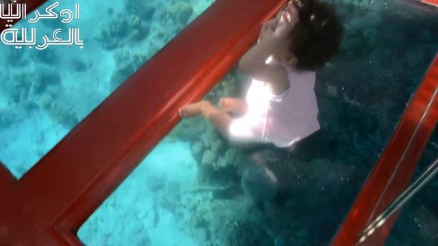 Египет. Корабль с прозрачным дном смотреть онлайн