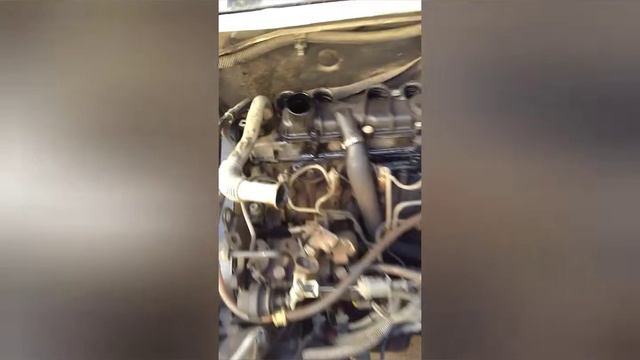 Cambio de calentadores y junta de tapa de válvulas. Peugeot partner 1.9 смотреть онлайн