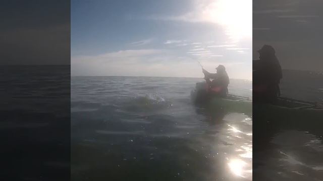 PESCA EN KAYAK CARDIEL 23/10/16 смотреть онлайн