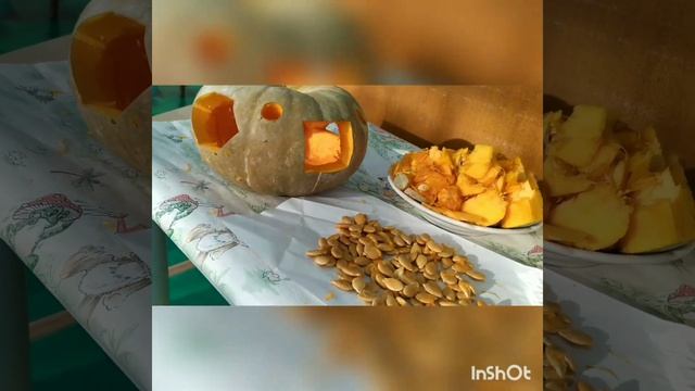 ЭКОкормушка из тыквы смотреть онлайн