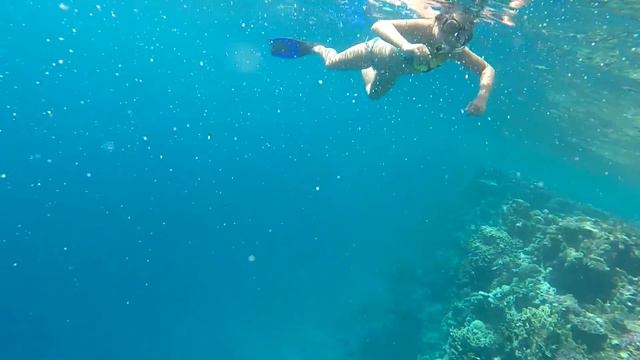 Отдых в Poinciana Sharm Resort 4* (2015) смотреть онлайн