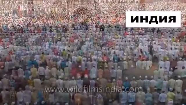 Намаз в разных странах мира.ТЫ КОГДА НАЧНЁШ МОЛИТСЯ О МОЙ БРАТ И МОЯ СЕСТРА В ИСЛАМЕ? смотреть онлайн