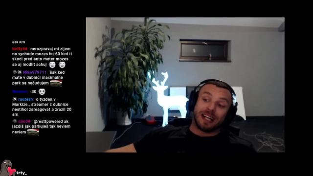 Restt Skoro Zrazil Srnku